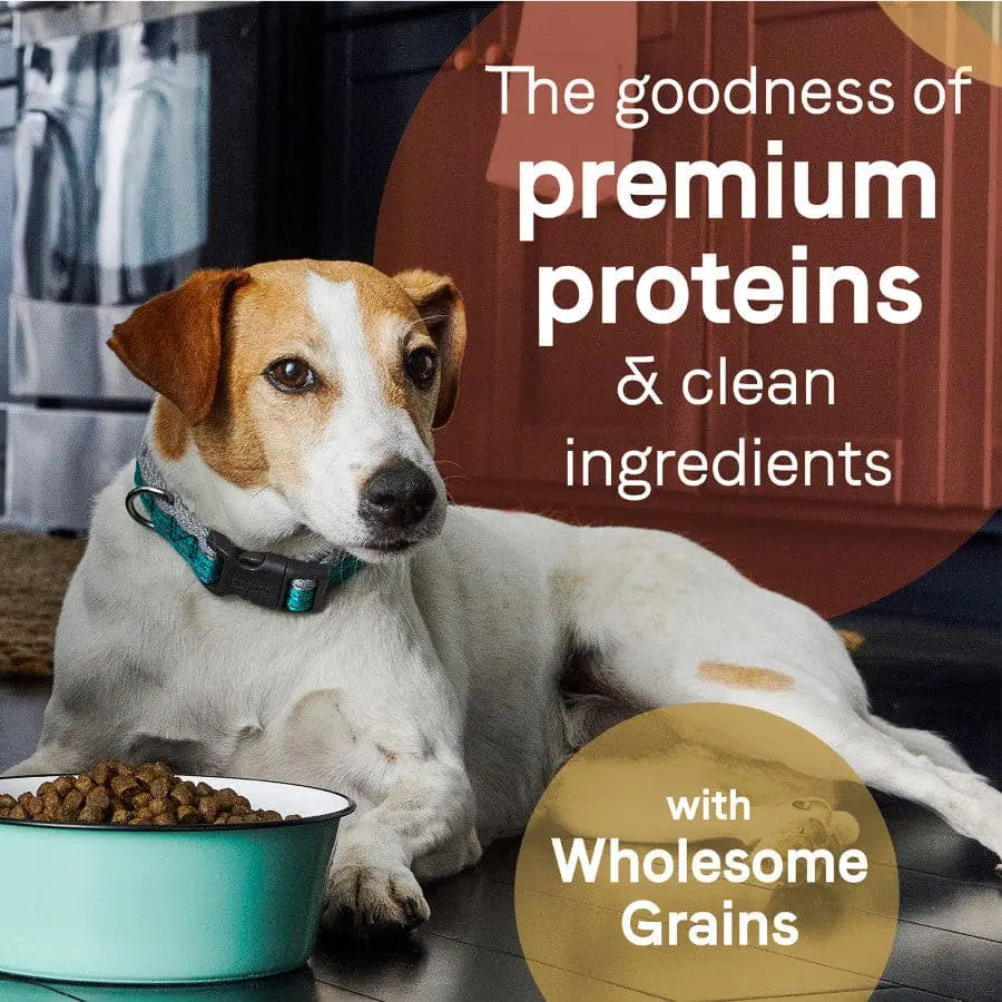 CANIDAE PURE Puppy Dry Dog Food - Real Salmon & Oatmeal Recipe with Wholesome Grains