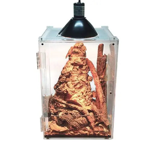 High - Grade Acrylic Front - Opening Terrarium Cage for Reptiles, Insects, Scorpions, and Amphibians