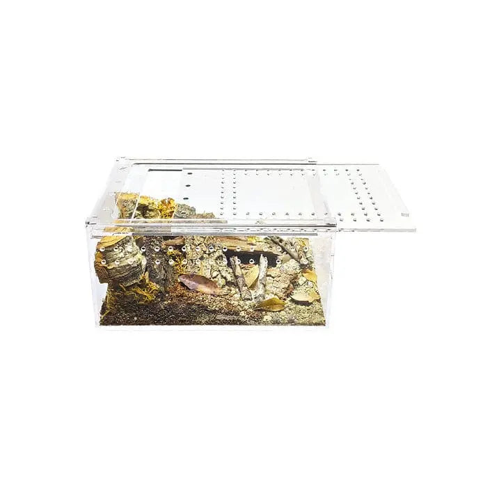 Small Flat Transparent Acrylic Enclosure - Ideal Terrarium Cage for Tarantula and Scorpion Breeding