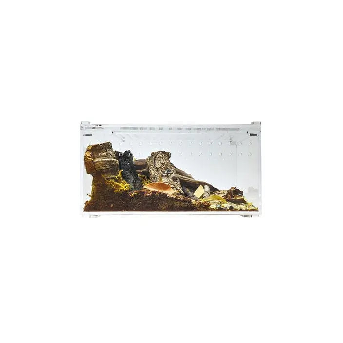 Small Flat Transparent Acrylic Enclosure - Ideal Terrarium Cage for Tarantula and Scorpion Breeding