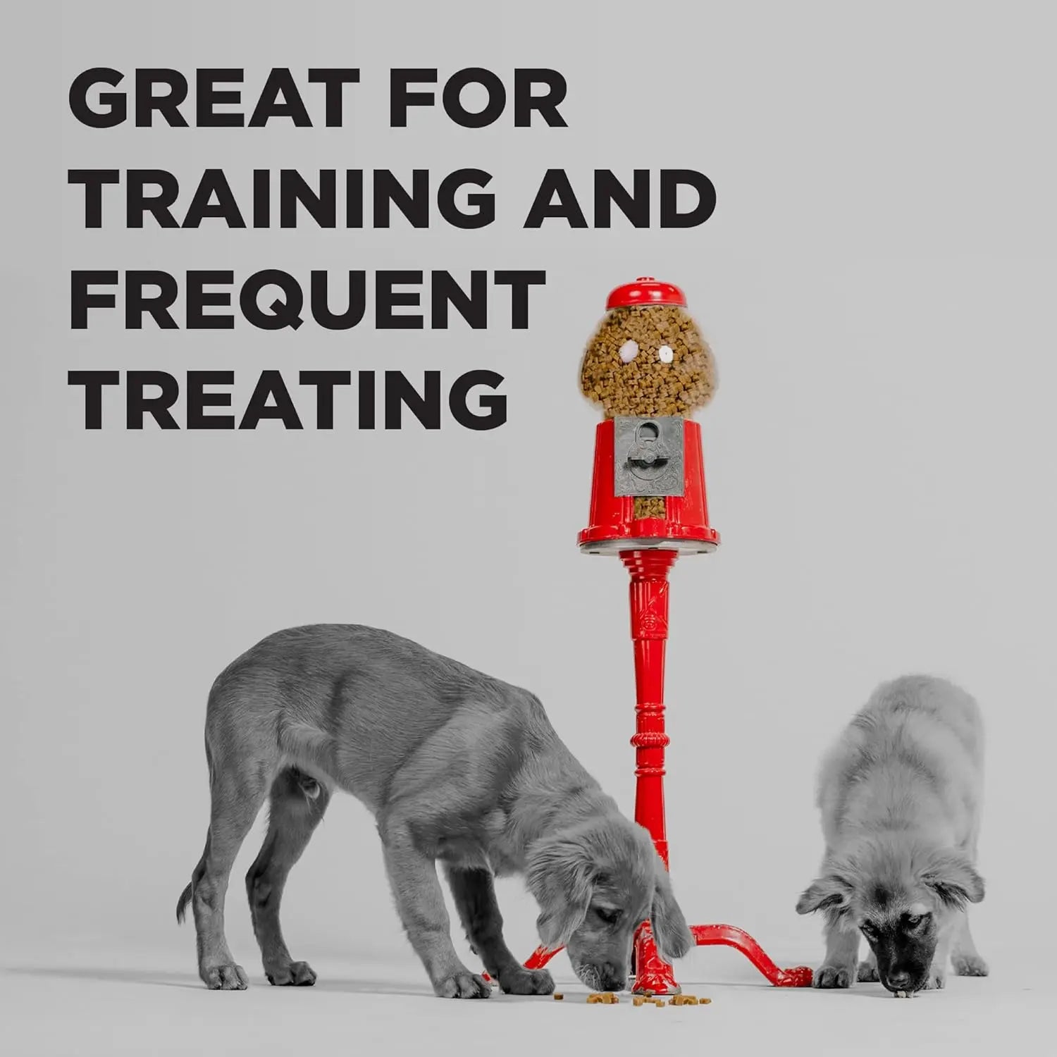 BIXBI Pocket Trainers 6oz Grain-Free Low-Calorie Dog Treats with 3 Flavors
