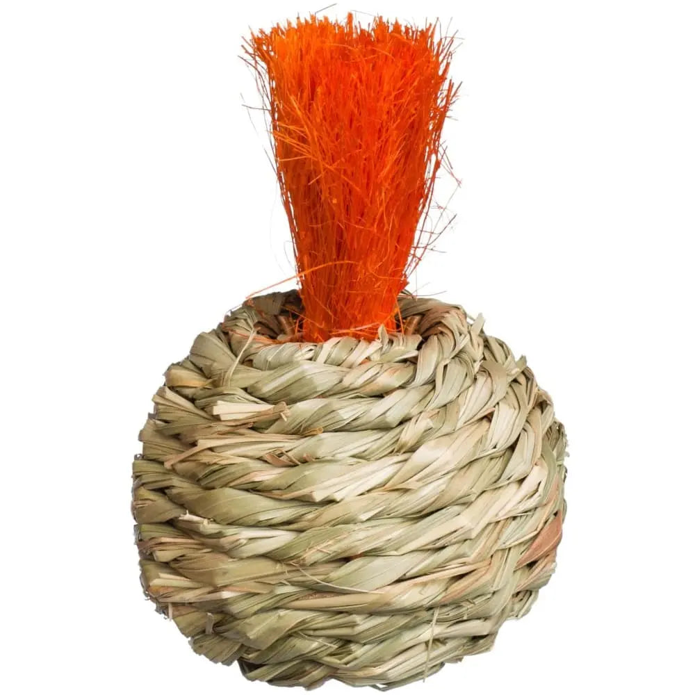 Prevue Pet Products Handmade Grassy Nibblers Squash Toy for Small Animals