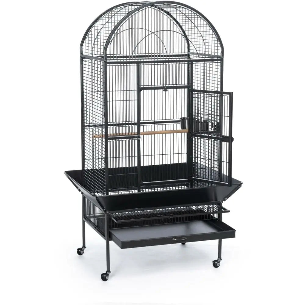 Prevue Pet Products Black Large Dome Top Bird Cage