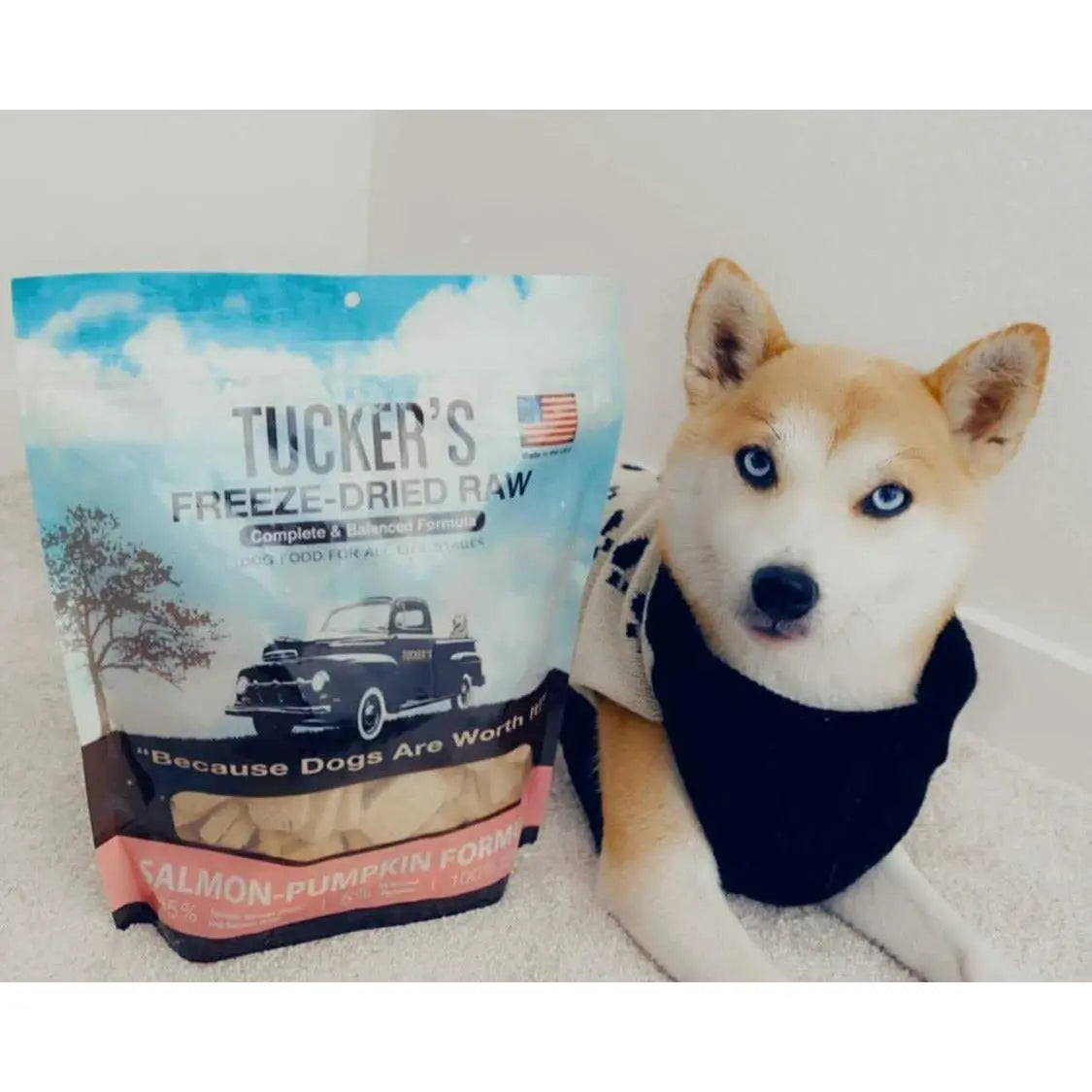 Tucker's® Freeze-Dried Dog Food with Salmon and Pumpkin, 12-Ounce Package