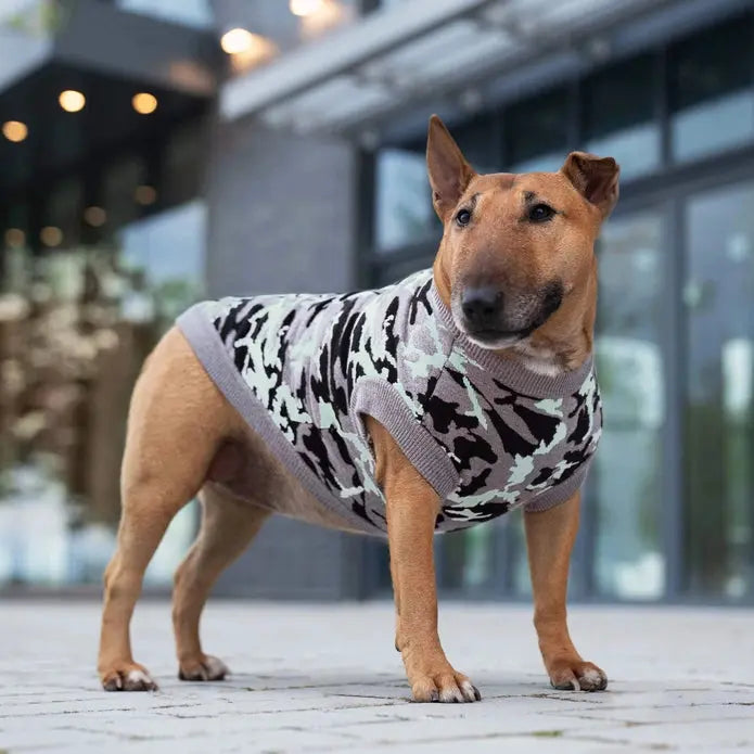 Canada Pooch Super Cozy Glow-in-the-Dark Stylish Dog Sweater