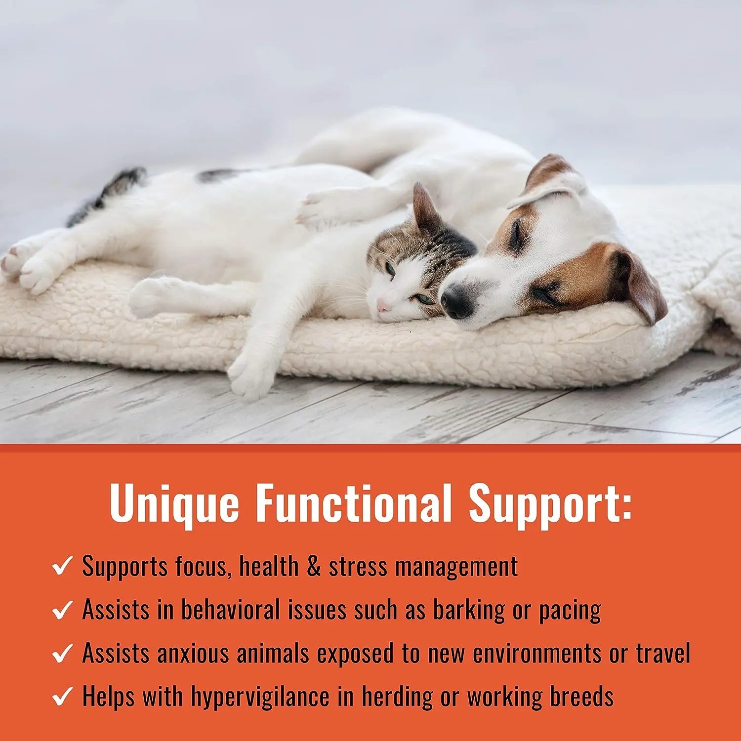 Canine Matrix Zen Calming Support Dietary Supplement for Dogs - 200g