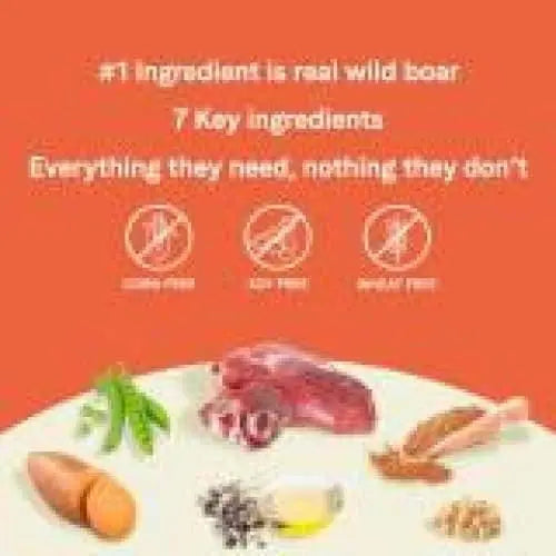 CANIDAE PURE Premium Grain-Free Dry Dog Food with Real Wild Boar and Garbanzo Bean Recipe