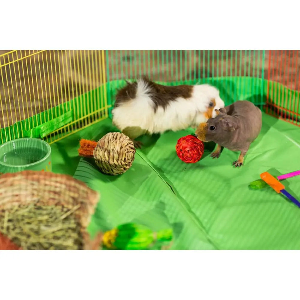 Prevue Pet Products Grassy Nibblers Toy Trio Woven Three-piece Set for Small Animals