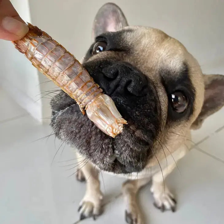 Lulu's Aussie Mantis Shrimp Prawn Chips - 5.6 oz Dog Treats