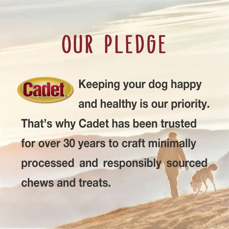 Cadet Premium Slow - Roasted 100% Real Beef Bully Sticks for Dogs