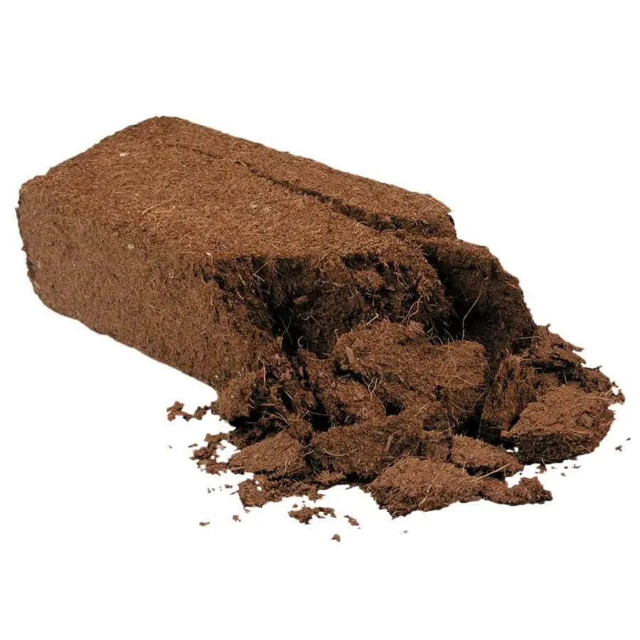 Zilla Single - Sized Compressed Coconut Husk Brick for Tropical Habitats