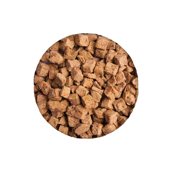 Health Extension Beef Recipe Freeze - Dried Super Bites Raw Dog Food Mixer