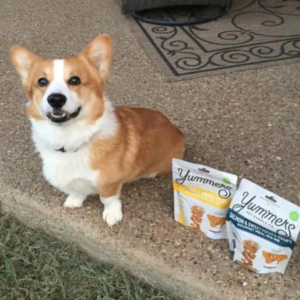 Yummers Premium Gourmet Chicken & Ginger Recipe Meal Mix-in Dog Food Topper, 5 oz Package