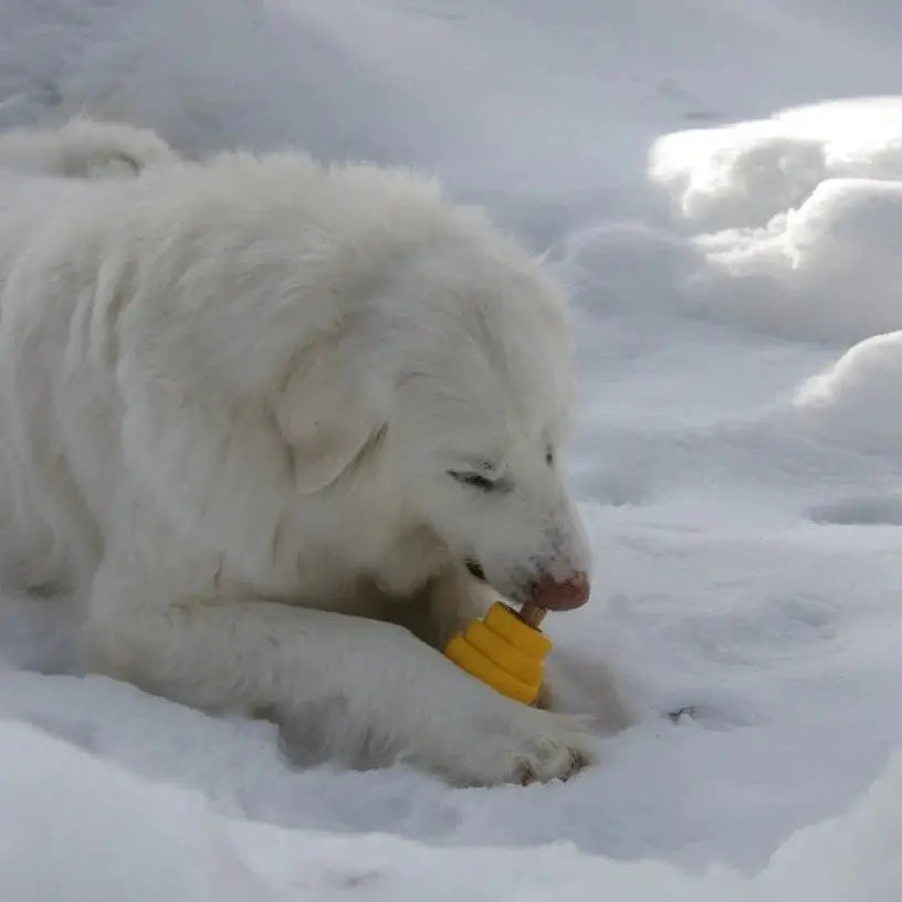 Project Hive Durable Multifunctional Chew Toy for Big Dogs from USA