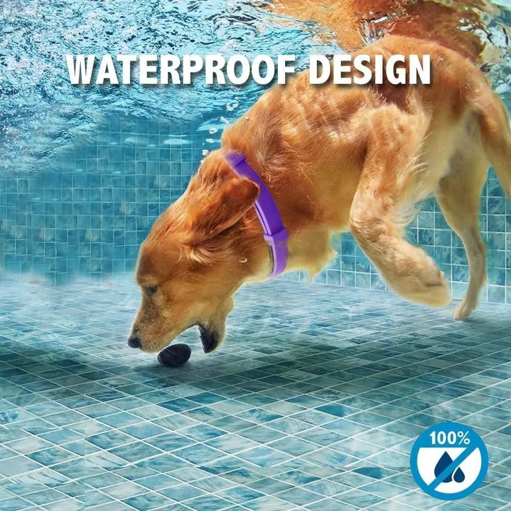 All - Natural Calming Collar for Dogs to Help Your Furry Friend Feel Secure, Happy and Relaxed