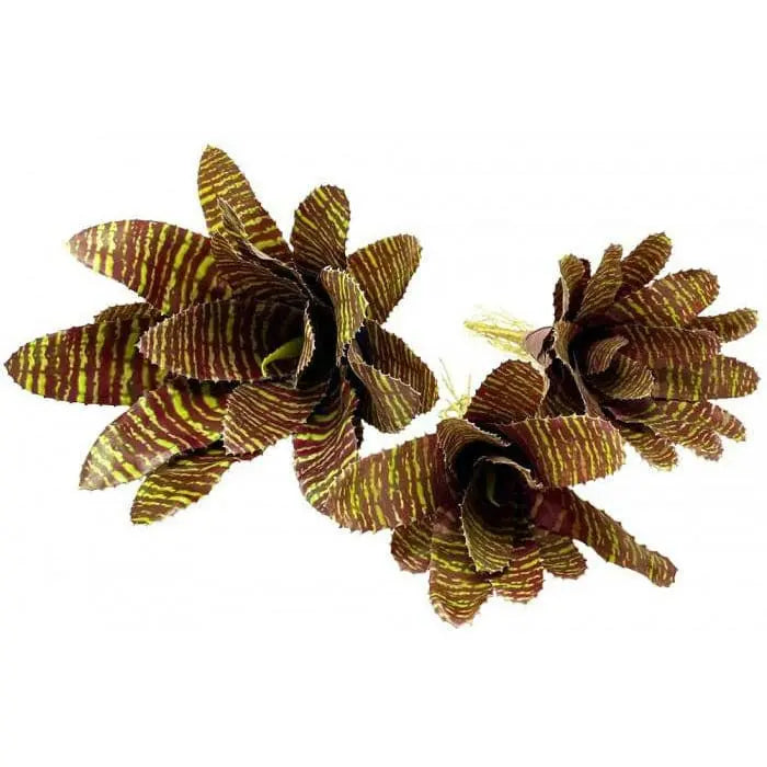 Realistic Bromeliads Plants for Terrarium, Aquarium and Habitat Decoration