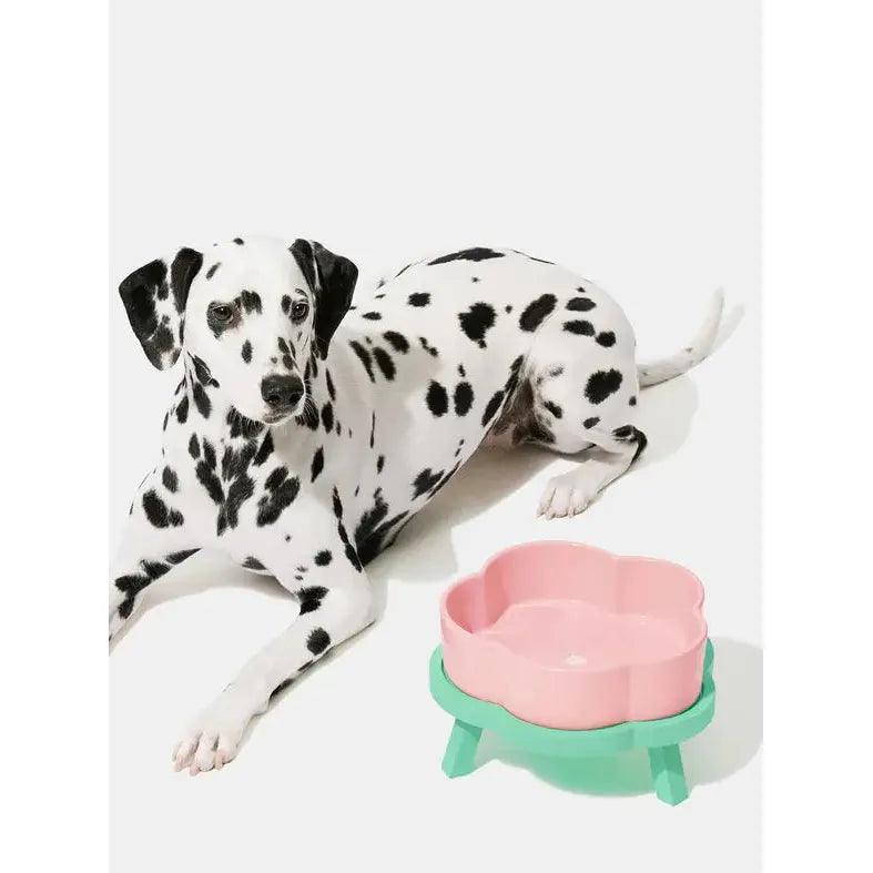 Vetreska Modern and Stylish Flora-Shape Ceramic Pet Bowl Set with Beechwood Stand