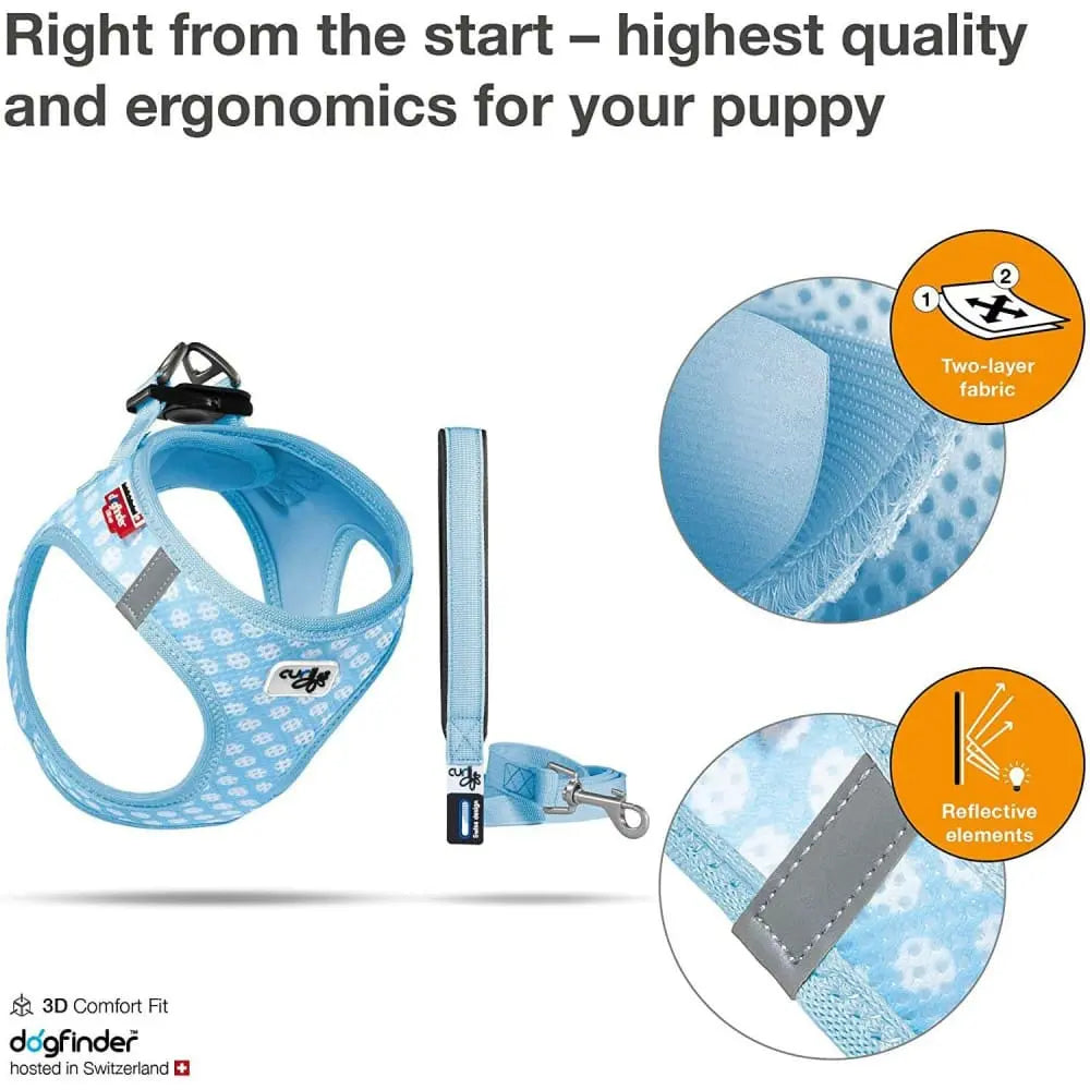 Lightweight Air-Mesh Vest Harness with Matching Leash for Small Puppies