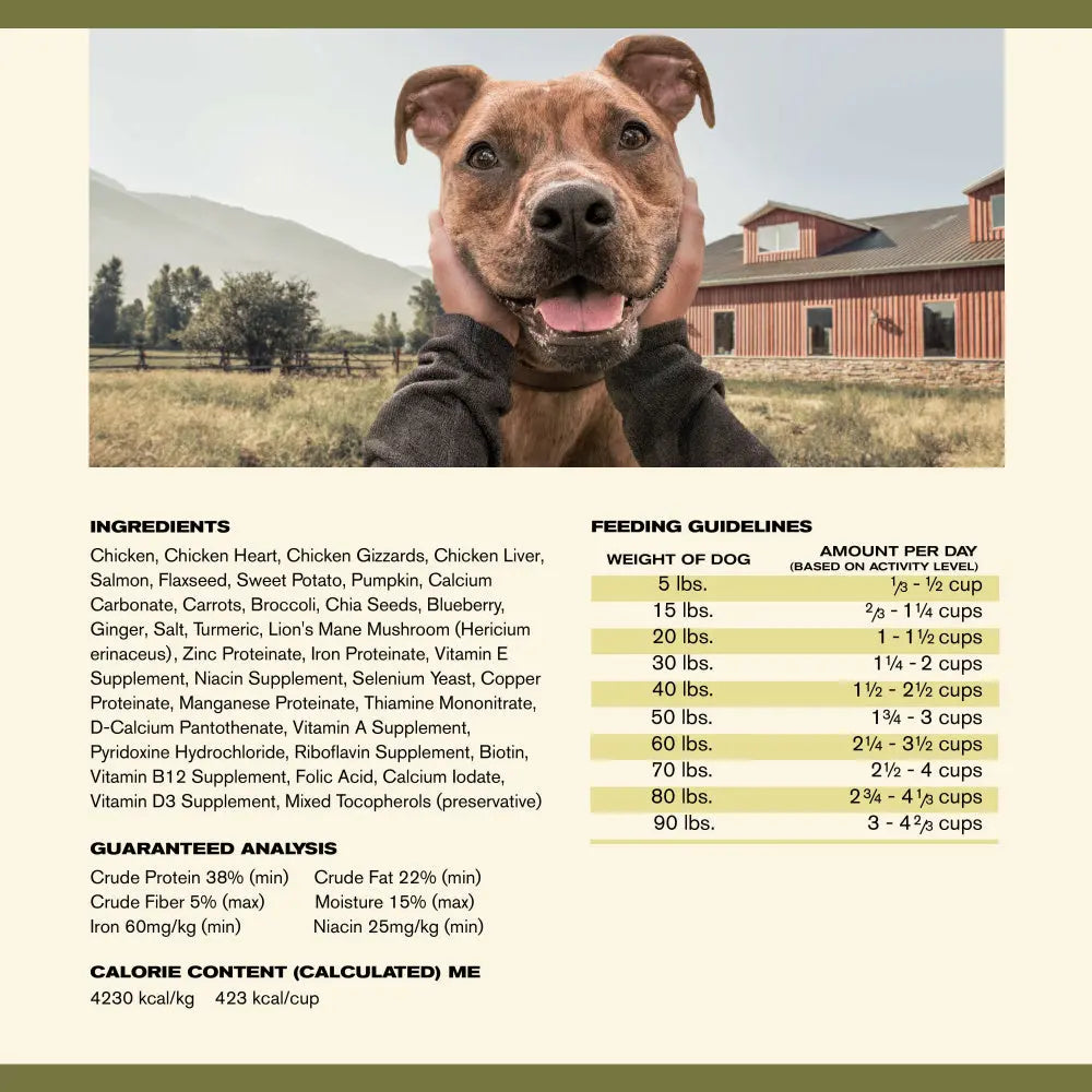 Badlands Ranch Premium Superfood Complete Grain-Free Air-Dried Chicken Dog Food for a Healthy Canine Diet
