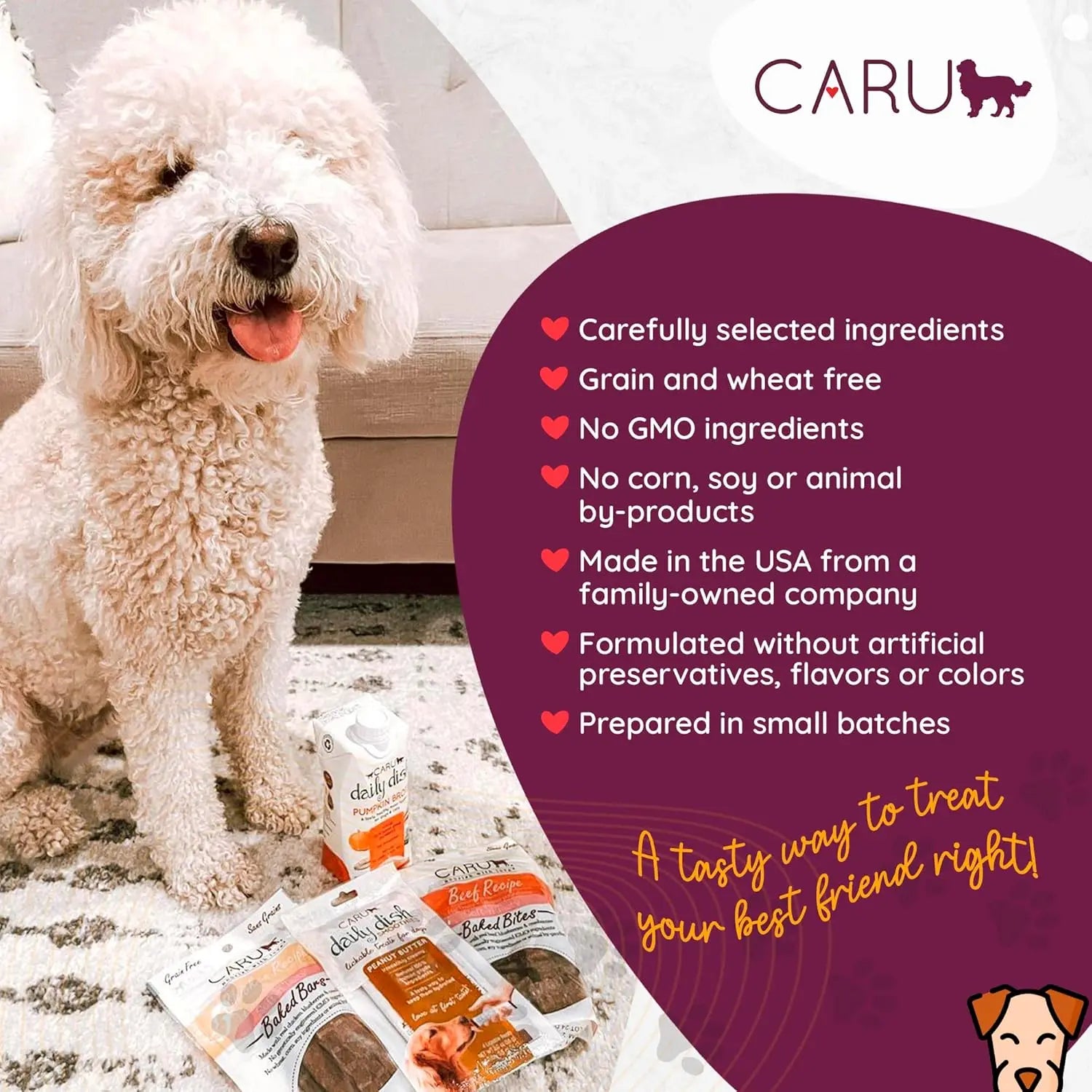 Caru Premium Grain - Free Soft and Delicious Baked Bite - Style Dog Treats with Alligator Recipe