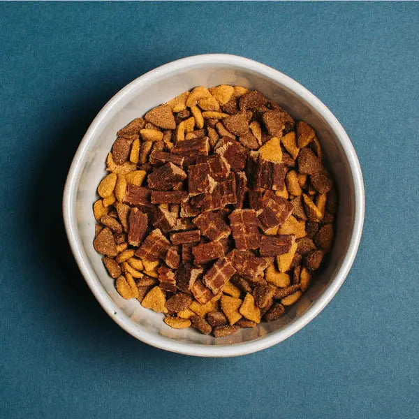 Yummers 5 oz. Gourmet Salmon & Sweet Potato Recipe Dog Food Topper