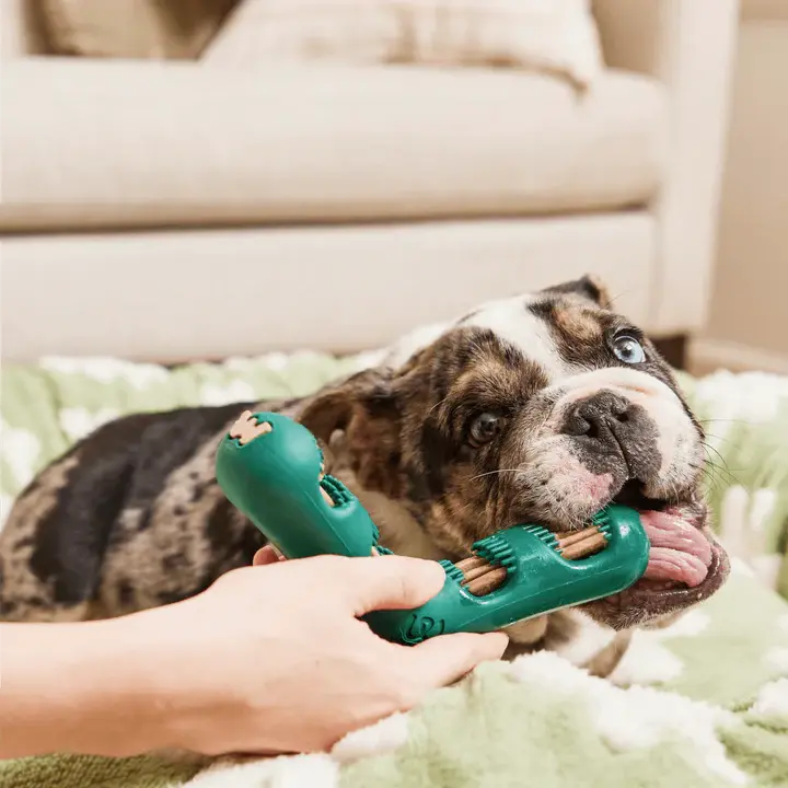 Woof Pet All - Natural Bite n' Brush Dental Treat Refills for Dogs