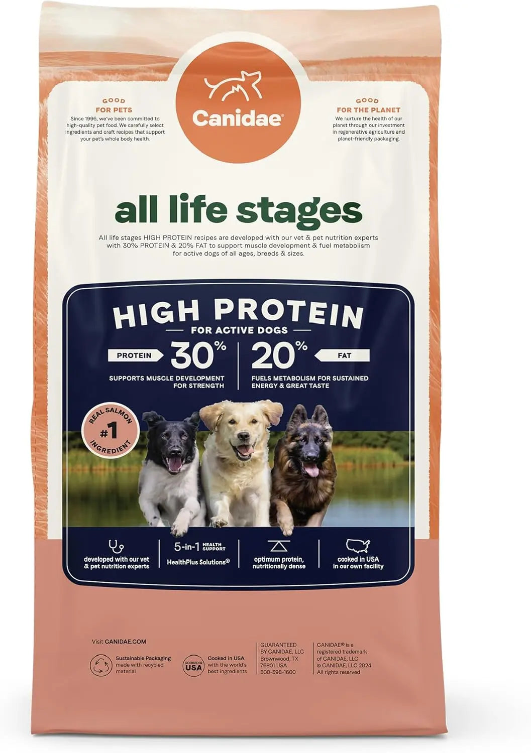 CANIDAE Premium All Life Stages Real Salmon and Ancient Grains Dry Dog Food for Canines of All Ages