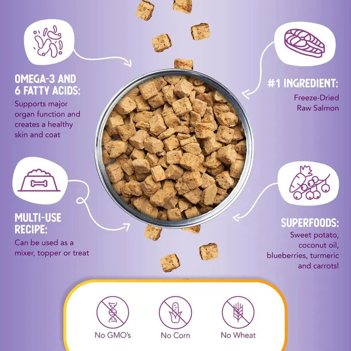 Health Extension Freeze - Dried Superbites Raw Salmon Mixer for Canine Delights