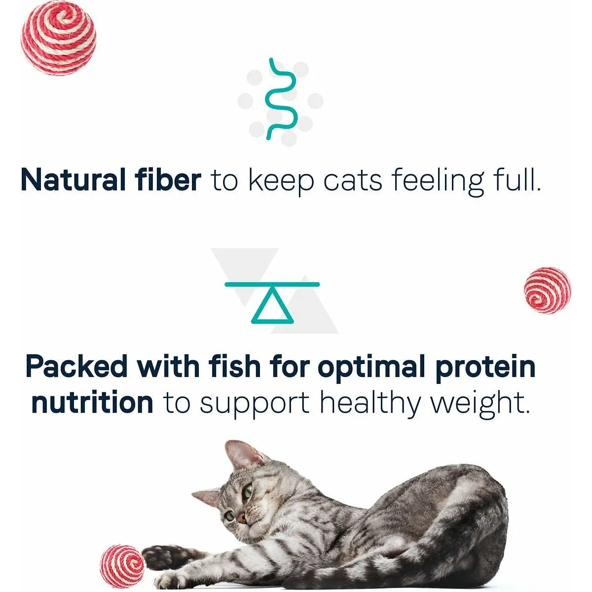 CANIDAE Premium Dry Cat Food Formula with Real Whitefish for Indoor Felines