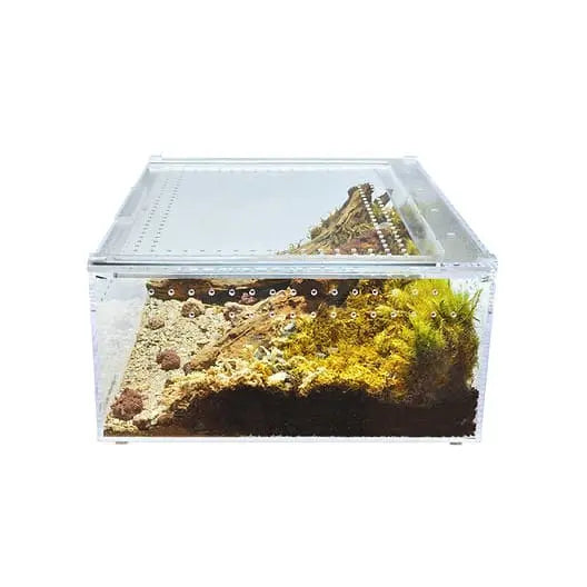 Extra-Large Acrylic Transparent Top Reptile Breeding Terrarium Cage Tank for Geckos, Ideal for Creating a Comfortable Habitat