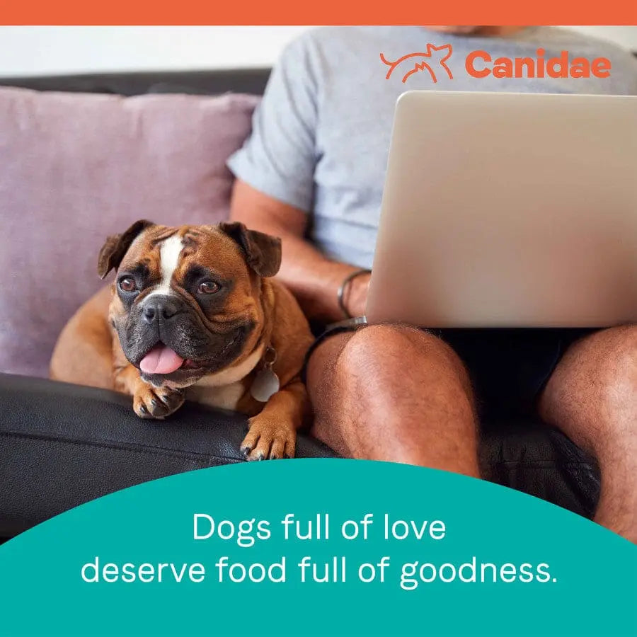 CANIDAE PURE Grain-Free Dry Dog Food for Healthy Weight with Real Chicken & Pea Recipe