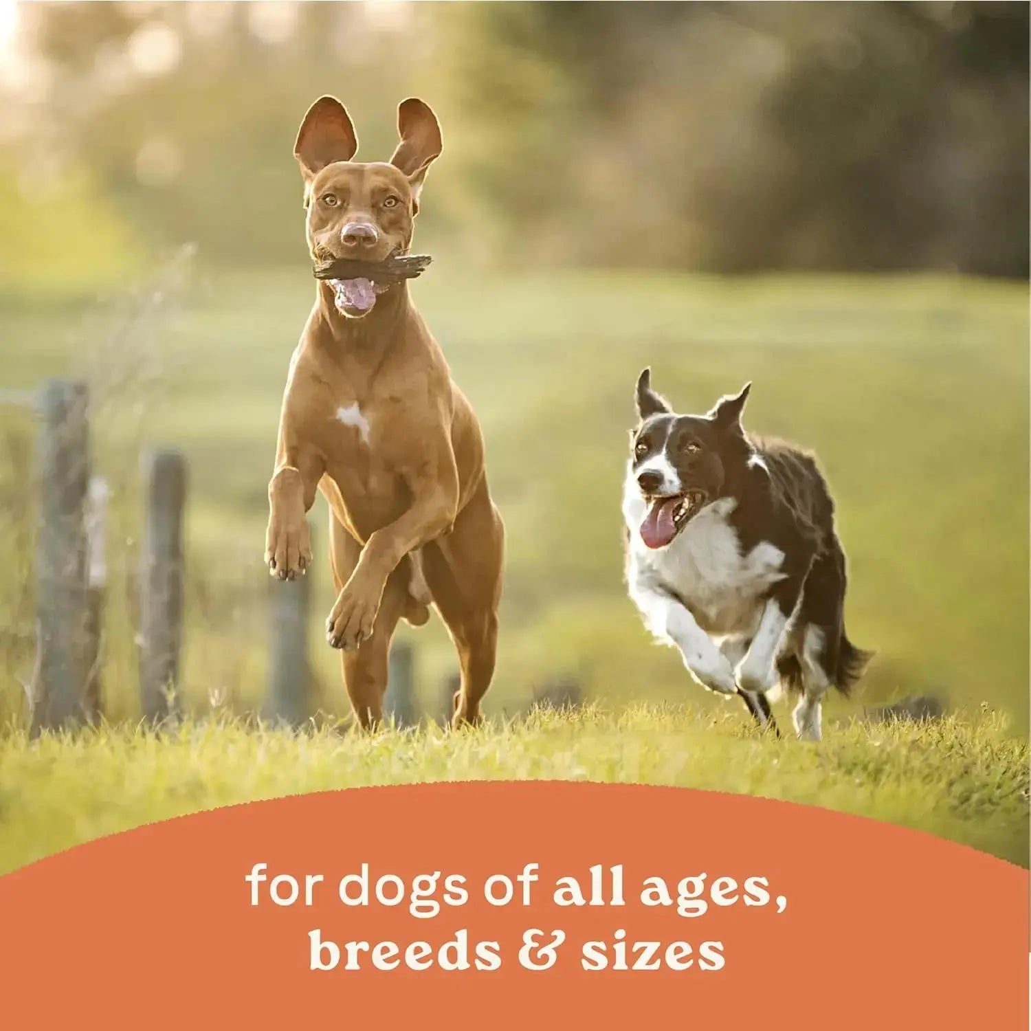 CANIDAE Premium All Life Stages Chunky Stew Toppers Wet Dog Food - Pack of 6 Cans, Each 12.7 Ounces