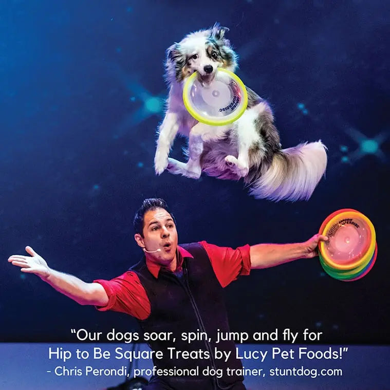 Lucy Pet Products High - Quality Limited Ingredient Salmon & Pumpkin Dog Treats