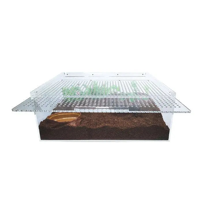 Extra Large Flat and Transparent Acrylic Enclosure for Reptile Breeding - Ideal Terrarium Cage Tank