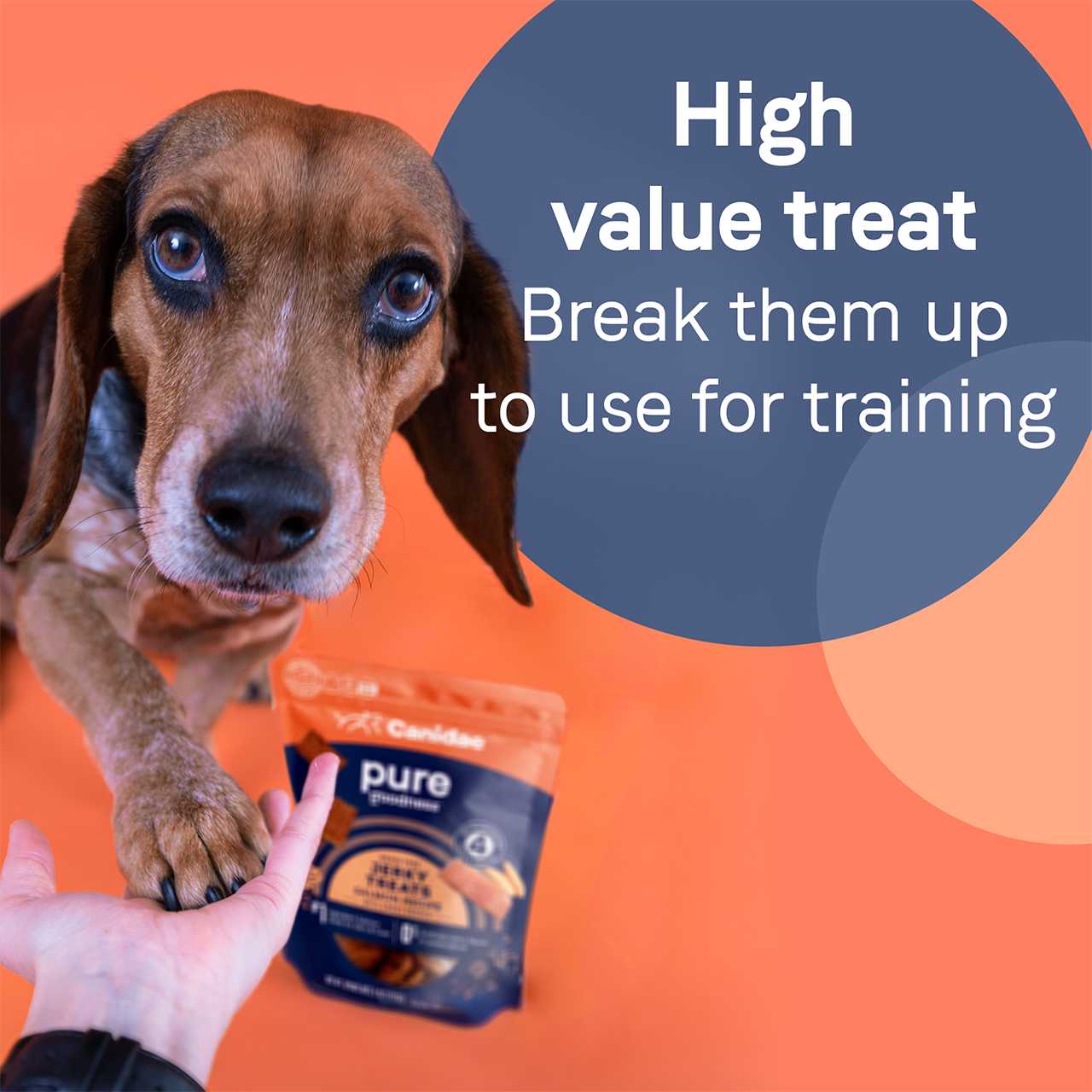 CANIDAE Pure Grain - Free Dog Treats: 4 oz Salmon Jerky with Sweet Potato for Canine Delight