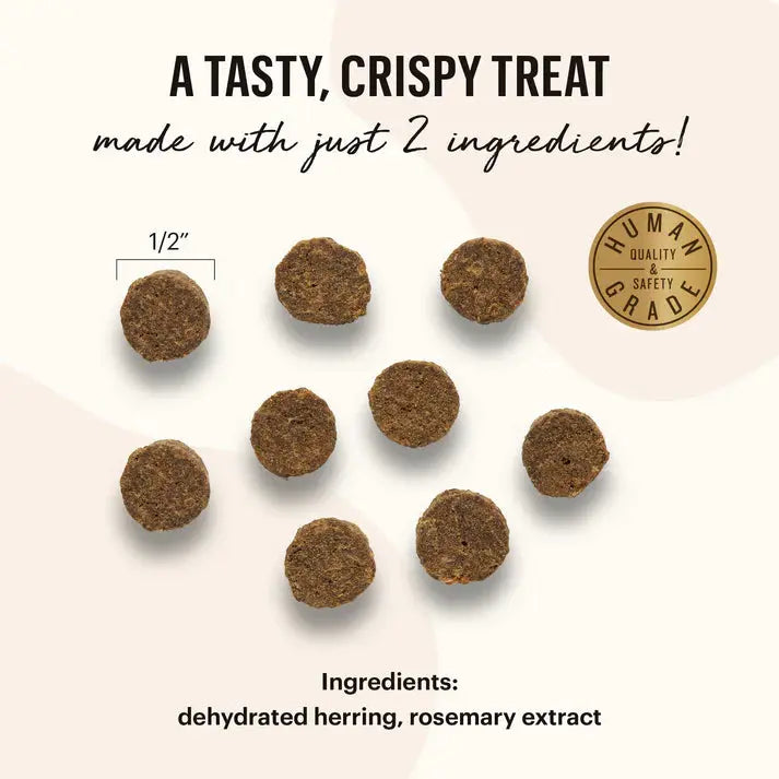 The Honest Kitchen Premium Smitten Bites - Simply Dehydrated Wild - Caught Herring Recipe Natural Cat Treats, 2 Ounce Package