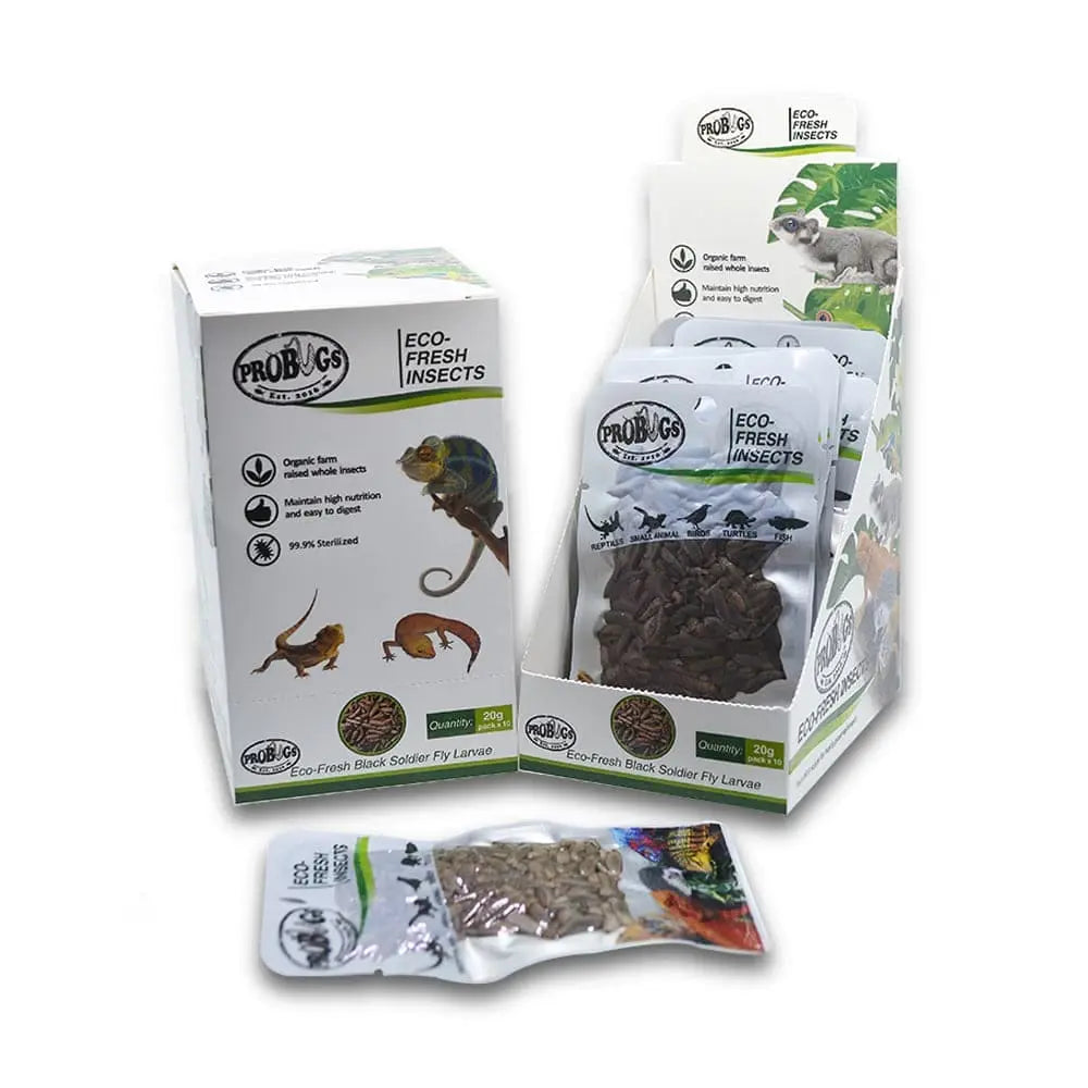 Eco-Fresh Pro Bugs Black Soldier Fly Larvae: Ideal Food for Fish, Lizards, Turtles & Birds