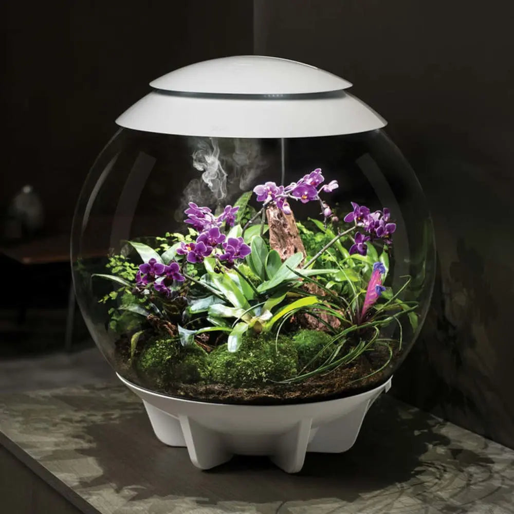 biOrb AIR 30 LED Acrylic Terrarium with Automated Care and 360 - Degree View
