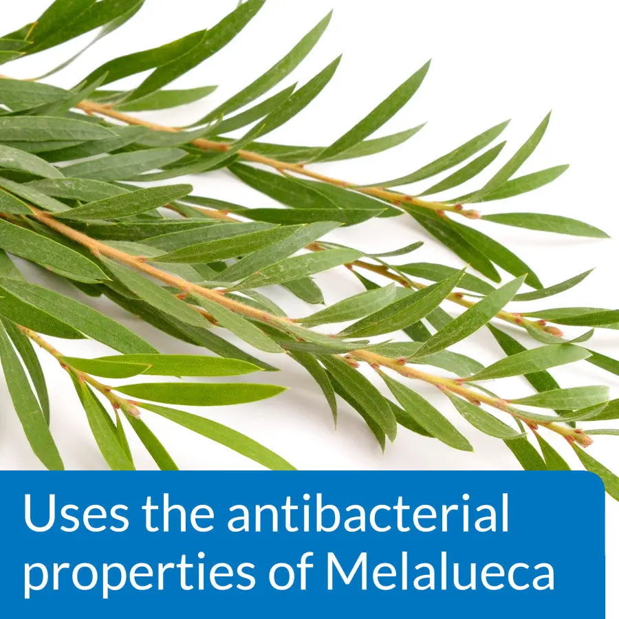 API Pond Melafix All - Natural Anti - Bacterial Remedy for Pond Fish Health