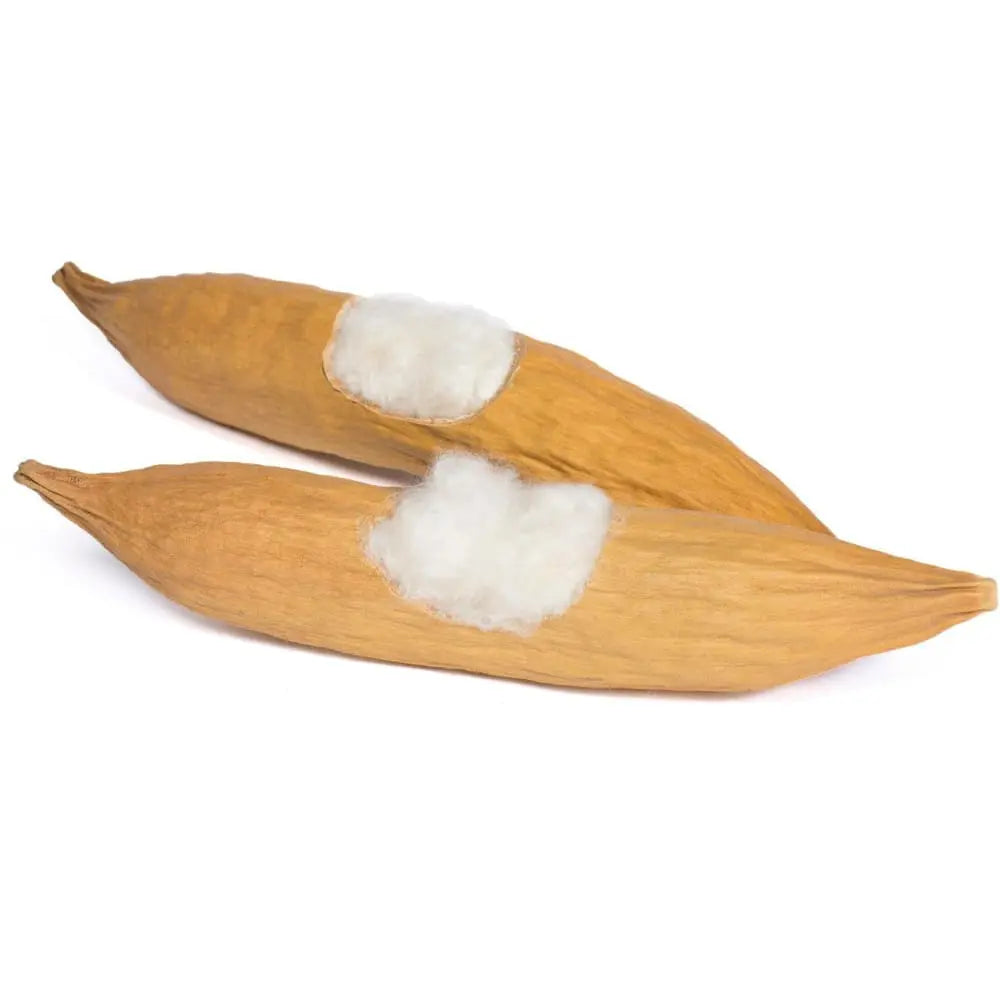 Prevue Pet Products Modular Pods - Ideal Natural Activity Centers and Hideouts for Small Animals