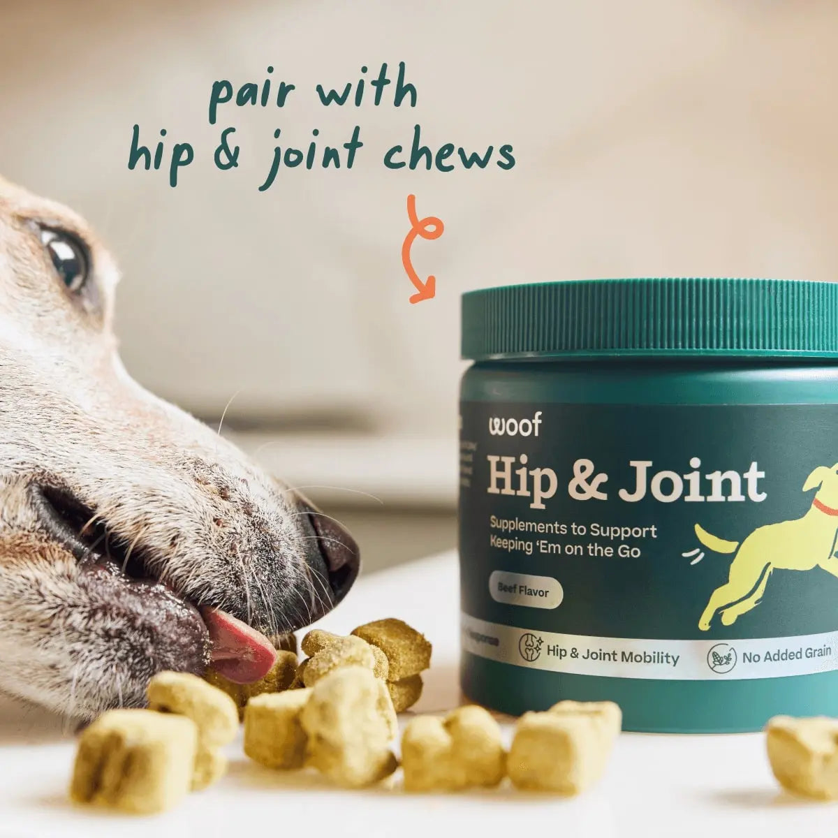Woof Pupsicle Long - Lasting Hip & Joint Health Refill Dog Lickable Treats