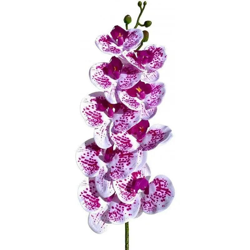 Lugarti's Realistic Moth Orchids for Reptile Habitat Decor