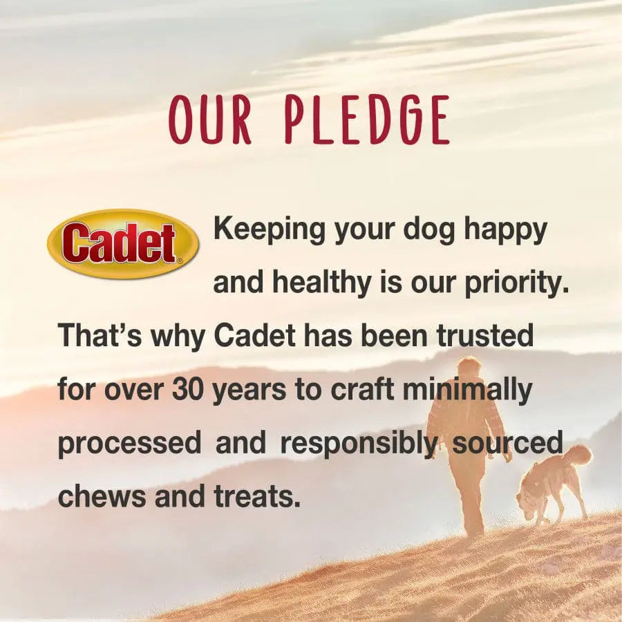 Cadet Gourmet High - Quality Chicken & Apple Wrapped Low - Fat Dog Treats