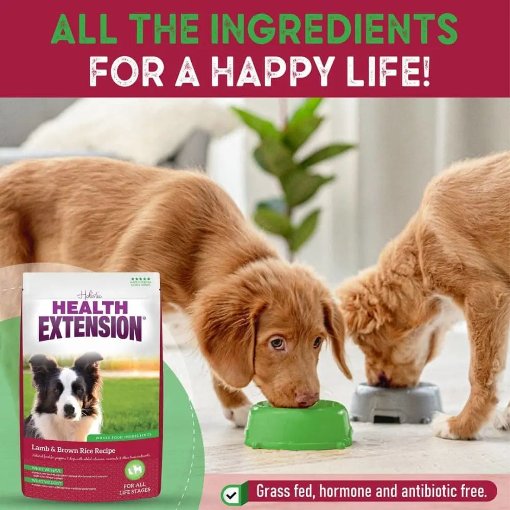 Healthy Extension Free - Range Lamb & Brown Rice Complete Dry Dog Food