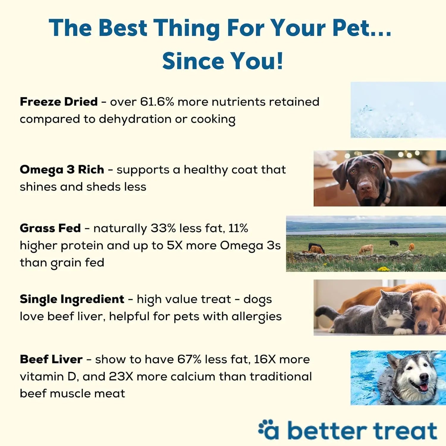 Premium Freeze - Dried Grass - Fed Beef Liver Treats for Dogs and Cats
