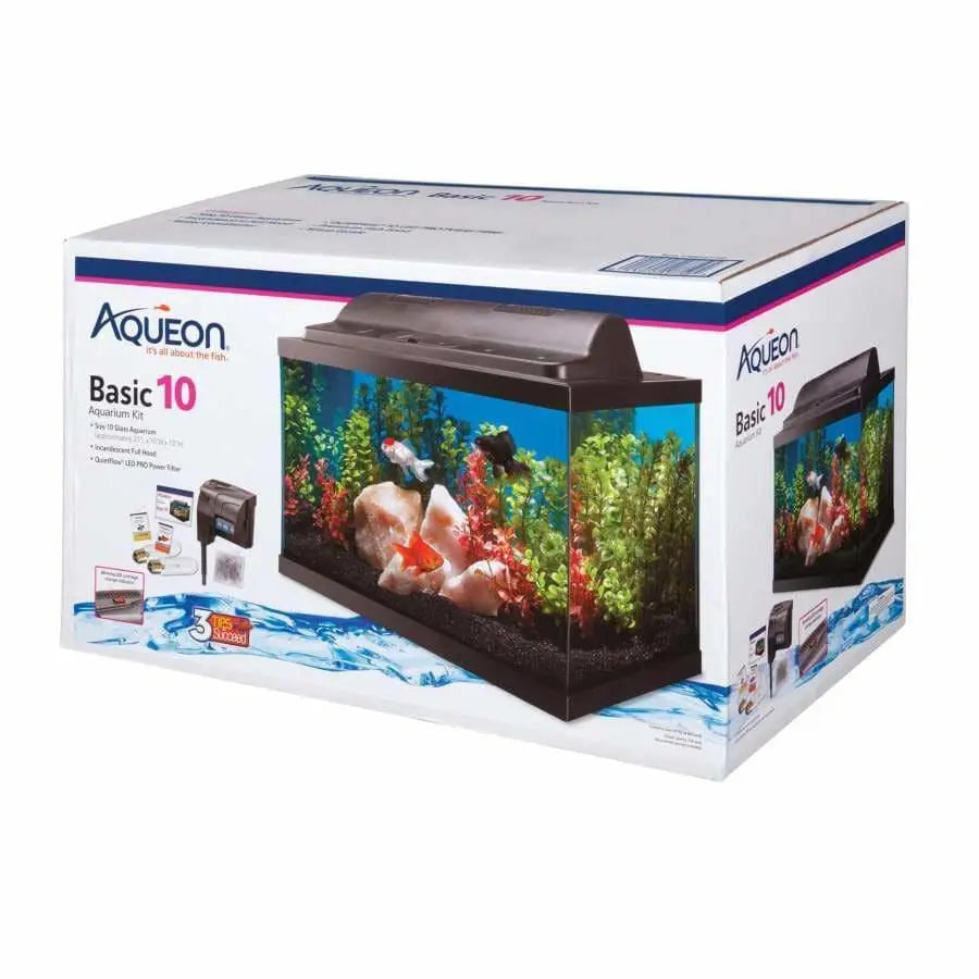 Aqueon Starter Incandescent Aquarium Kit - Ideal for New Aquarists (1 Unit of Size 10)
