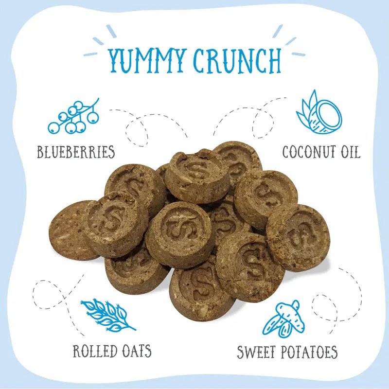 Health Extension Sammy Snacks - Premium Blueberries Flavored All - Natural Dog Treats, 8 - ounce Package