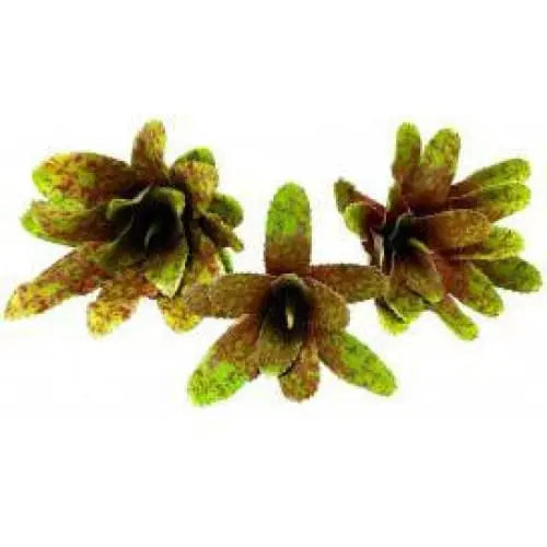 Realistic Bromeliads Plants for Terrarium, Aquarium and Habitat Decoration
