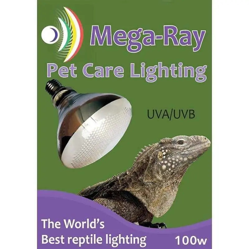 High - Performance Self - Ballasted Mega - Ray Mercury Vapor Flood UVB Lamp for Reptile Pet Care