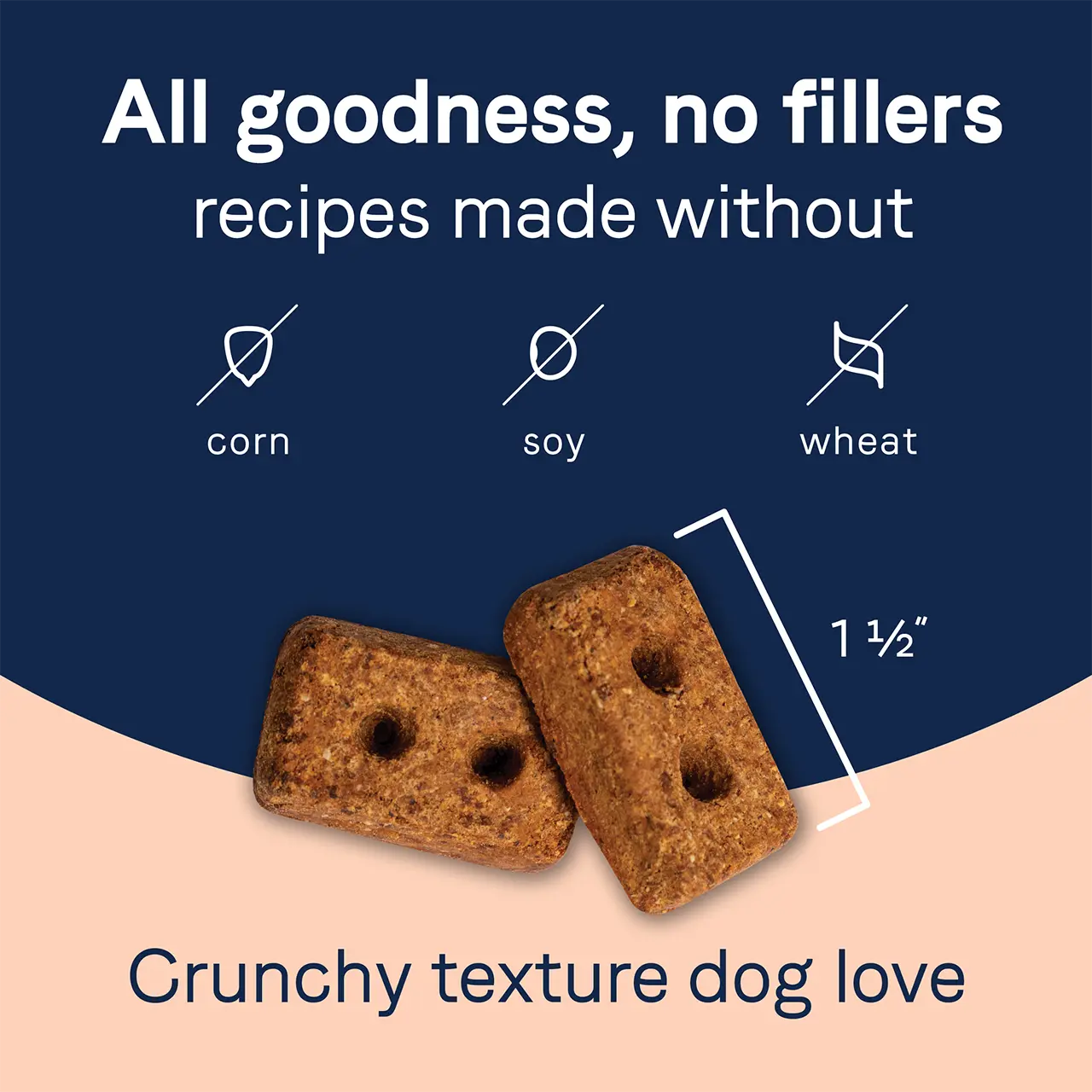CANIDAE PURE Grain-Free Lamb Liver & Butternut Squash Dog Biscuit Treats - 11 oz